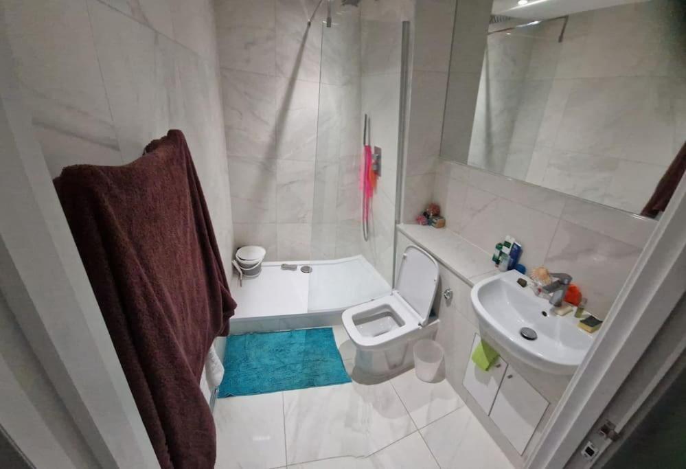 Apartament Stylish And Spacious New Flat Londra